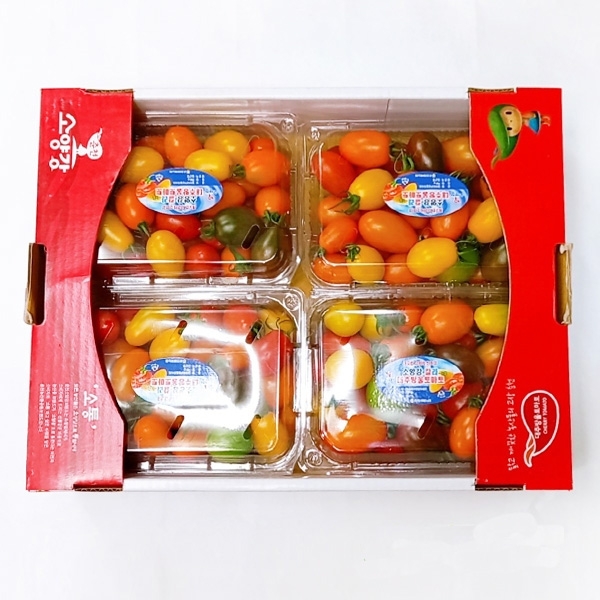 [프레시팜] 컬러 대추방울 토마토 4팩 3kg 내외 1박스