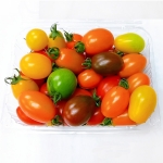 [프레시팜] 컬러 대추방울 토마토 1팩 750g 내외
