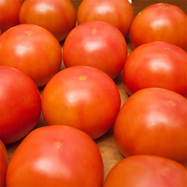 [프레시팜] 국산과일류 완숙 토마토 2번  5kg 내외 1박스