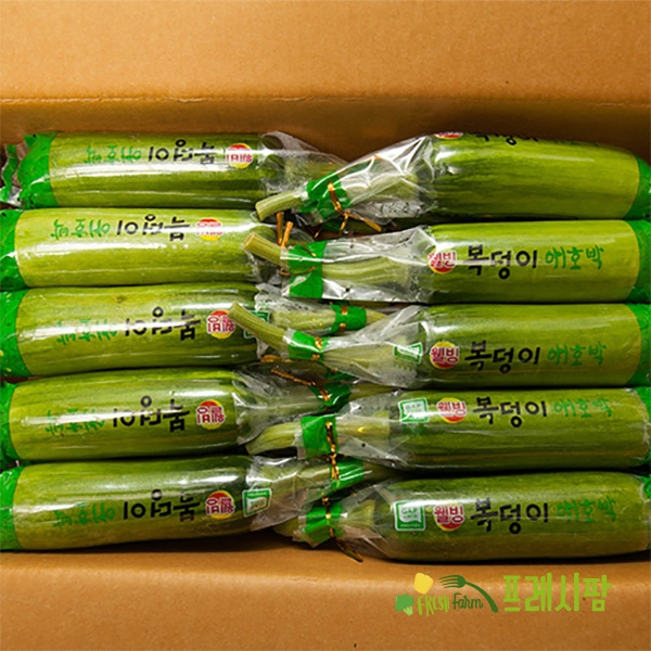 [프레시팜] 과채류 국산 인큐호박 애호박 상품 20개